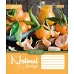А5/60 кл. 1В Natural Fruits -17 зошит ученич. код: 760418