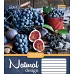 А5/60 кл. 1В Natural Fruits -17 зошит ученич. код: 760418