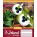 А5/60 кл. 1В Natural Fruits -17 зошит ученич. код: 760418