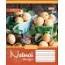 А5/60 кл. 1В Natural Fruits -17 зошит ученич. код: 760418