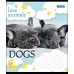 Тетрадь школьная А5/12 кл. 1В LOVE ANIMALS, тетрадь учен. код: 764463 набор 25 шт