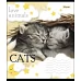 Тетрадь школьная А5/12 кл. 1В LOVE ANIMALS, тетрадь учен. код: 764463 набор 25 шт