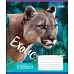 Тетрадь школьная А5/12 кл. 1В EXOTIC ANIMAL, набор 25 шт., код: 764465