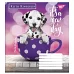 А5/48 кл. YES NEW PETS DAY, зошит для записів , набір 10 шт., код: 763805
