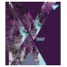 Зошит для записів А5/24 кл. YES 