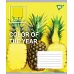 А5/48 кл. YES PANTONE, зошит для записів , набір 10 шт., код: 764145