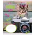 А5/18 кл. 1В I MEOW YOU, зошит учн. , набір 25 шт., код: 764521