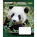 Зошит шкільна А5/18 лін. 1В RARE ANIMALS, набір 25 шт., код: 764544