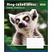 Зошит шкільна А5/18 лін. 1В RARE ANIMALS, набір 25 шт., код: 764544
