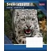 Зошит шкільна А5/18 лін. 1В RARE ANIMALS, набір 25 шт., код: 764544