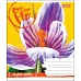 А5/18 кл. 1В ONE TWO FLO, зошит учн. , набір 25 шт., код: 764526