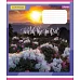 Зошит шкільна А5/24 кл. 1В WATCH THE SUNSET, зошит учн. код: 764579