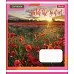 Зошит шкільна А5/24 кл. 1В WATCH THE SUNSET, зошит учн. код: 764579