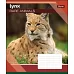 Зошит шкільна А5/48 лін. 1В RARE ANIMALS, Зошит шкільна код: 764635