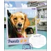 Зошит шкільна А5/48 лін. 1В YOUR BEST FRIEND, Зошит шкільна код: 764636