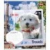 Зошит шкільна А5/48 лін. 1В YOUR BEST FRIEND, Зошит шкільна код: 764636