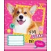 Зошит шкільна А5/18 кл. YES YOU MAKE ME SMILE, зошит учн. код: 764668