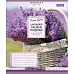 Тетрадь школьная А5/12 кл. 1В LAVENDER, тетрадь учен. код: 764808 набор 25 шт