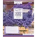 Тетрадь школьная А5/12 кл. 1В LAVENDER, тетрадь учен. код: 764808 набор 25 шт