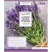 Тетрадь школьная А5/12 кл. 1В LAVENDER, тетрадь учен. код: 764808 набор 25 шт