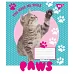 Зошит шкільна А5/12 кл. YES LOVELY PAWS, зошит учн. код: 764823 набір 25 шт
