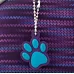 Рюкзак шкільний каркасний Kite Education Cute puppy K20-555S-3