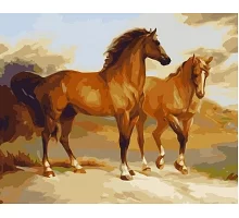 Картина по номерам Пара лошадей 40*50см, в коробке Dreamtoys код: DT-293