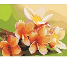 Картина за номерами Весняне пробудження 40*50см в коробці Dreamtoys код: DT-432