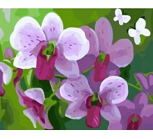 Картина за номерами Рожева орхідея