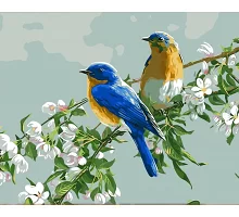 Картина по номерам Птицы на цветущей ветке