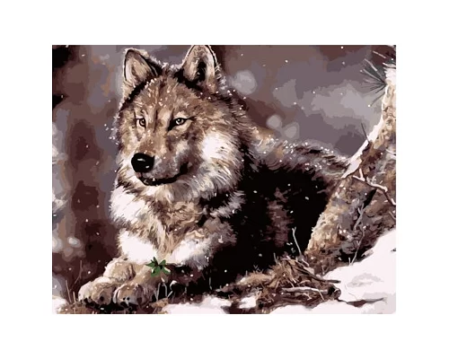 Картина по номерам Волк в термопакете 40*50см Стратег код: VA-0335