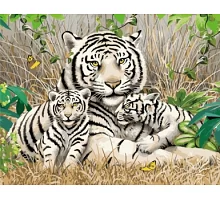 Картина за номерами Сім'я бенгальських тигрів в термопакете 40*50см Стратег код: VA-1705