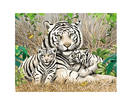 Картина по номерам Семья бенгальских тигров в термопакете 40*50см Стратег код: VA-1705