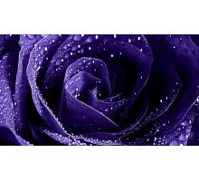 Алмазна мозаїка Фіолетова троянда, 30 * 40см, без рамки, в кор. 39 * 8 * 5 см