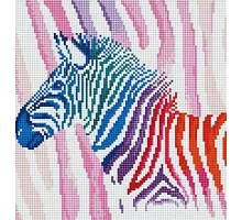 Алмазная мозаика Цветная зебра, 30*40см, без рамки, в кор. 39*8*5см