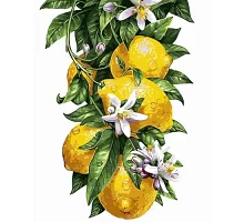 Картина по номерам Лимоны в термопакете 40*50см код: VA-0817