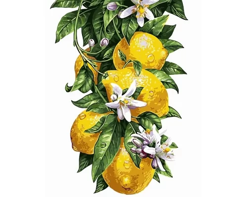 Картина по номерам Лимоны в термопакете 40*50см код: VA-0817