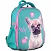 Рюкзак шкільний каркасний Kite Education Studio Pets SP21-555S-1