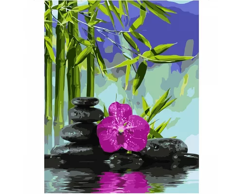Картина по номерам Орхидея в воде в термопакете 40*50см (VA-0332)
