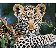 Картина по номерам Леопард в термопакете 40*50см (GX32126)