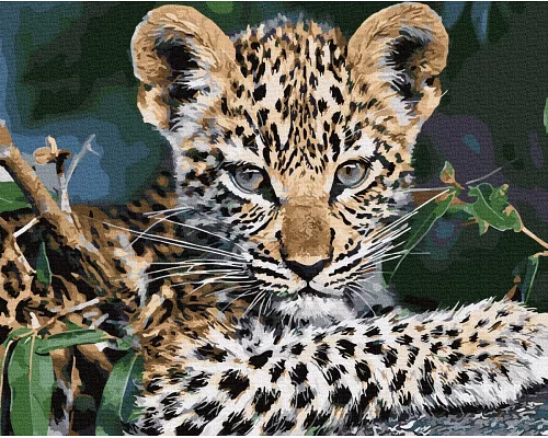 Картина по номерам Леопард в термопакете 40*50см (GX32126)
