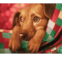 Картина за номерами Улюблений щеня в Термопакет 40 * 50см (GX31634)