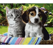 Картина за номерами Кошеня і щеня в Термопакет 40 * 50см (VA-0288)