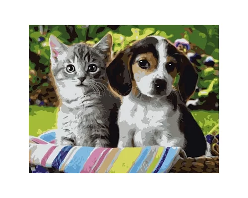 Картина по номерам Котенок и щенок в термопакете 40*50см (VA-0288)