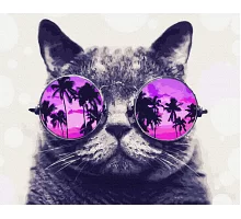 Картина по номерам Котик на Майами Premium цветной холст+лак в кор. 40*50см (PGX29637)