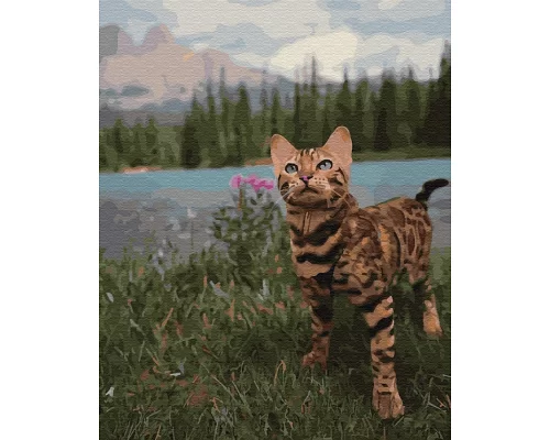 Картина за номерами Бенгальська кішка у гір в Термопакет 40 * 50см (GX34172)