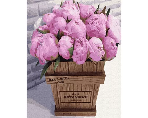 Картина за номерами Букет рожевих півоній в Термопакет 40 * 50см (GX36092)