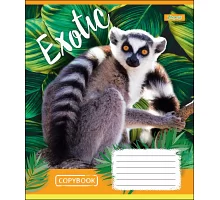 Зошит шкільна А5 48 лінія 1В Exotic Animal набір 10 шт. (764642)