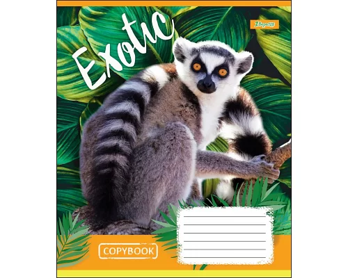 Тетрадь школьная А5 48 линия 1В Exotic Animal набор 10 шт. (764642)