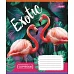 Зошит шкільна А5 48 лінія 1В Exotic Animal набір 10 шт. (764642)